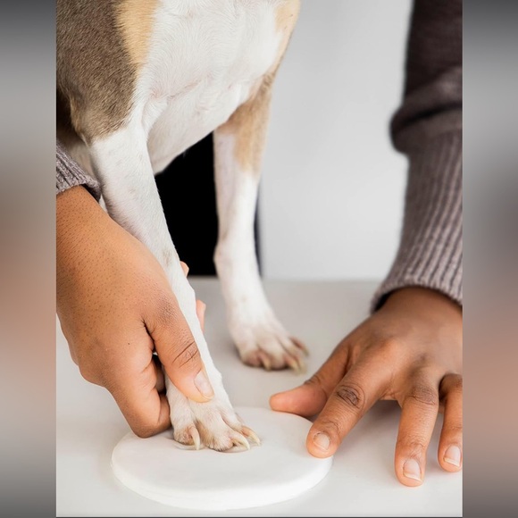 Pearhead Pet Pawprint Round Hanging Clay Ornament Kit Christmas Holiday Keepsake - Picture 4 of 10